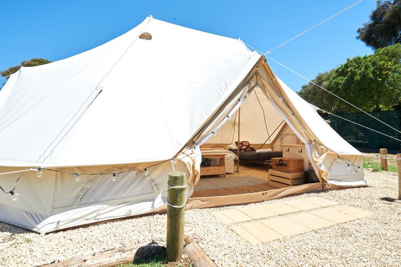 Pine Country Caravan Park Mount Gambier Exterior foto